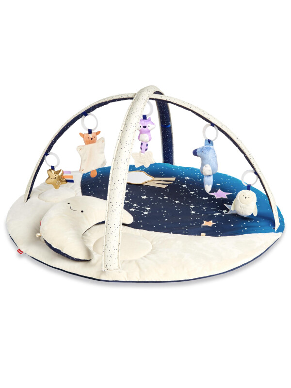 Skip Hop - Salteluta de activitati Vise placute