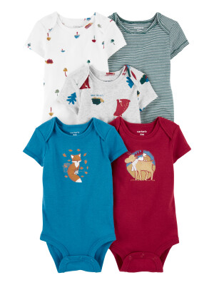 Set 5 body animale polare