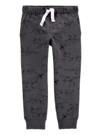 Carter's Pantaloni gri Dinozauri 