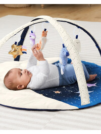 Skip Hop - Salteluta de activitati Vise placute