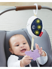 Skip Hop - Jucarie muzicala pentru carucior Luna vesela